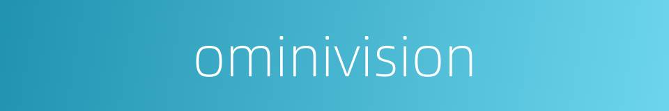 ominivision的同义词