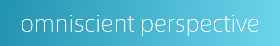 omniscient perspective的同义词