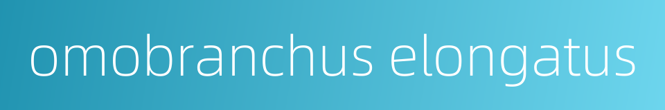 omobranchus elongatus的同义词