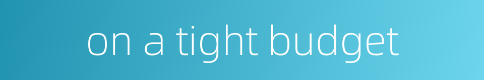 on a tight budget的同义词