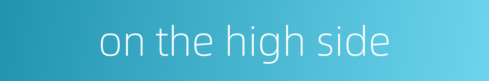 on the high side的同义词