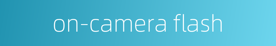 on-camera flash的同义词
