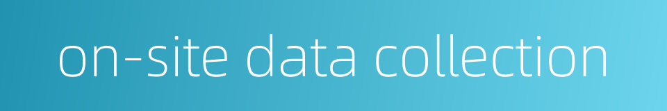 on-site data collection的同义词