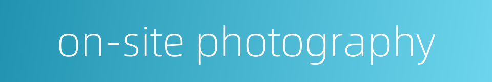 on-site photography的同义词