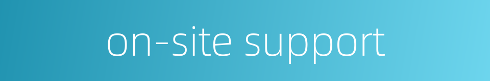 on-site support的同义词