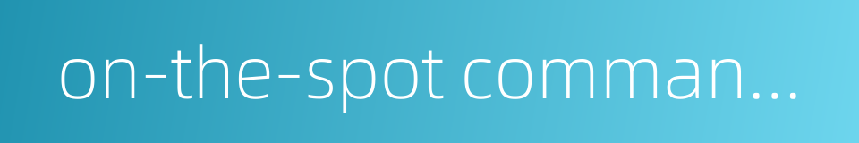 on-the-spot commander的同义词
