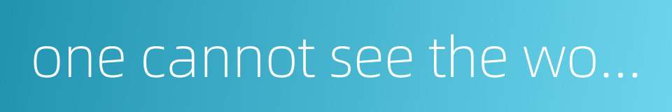 one cannot see the wood for the trees的同义词