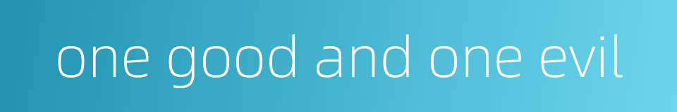 one good and one evil的同义词