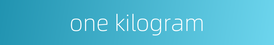 one kilogram的同义词