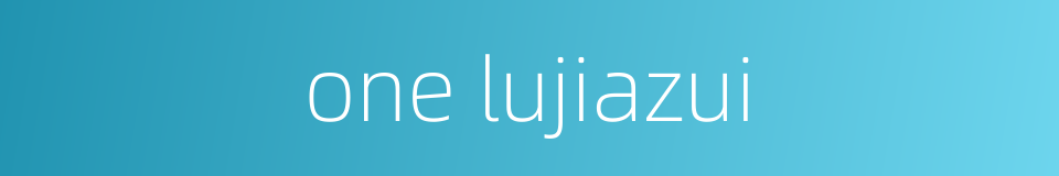 one lujiazui的同义词