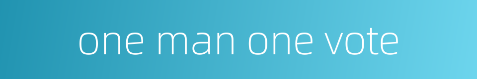 one man one vote的同义词