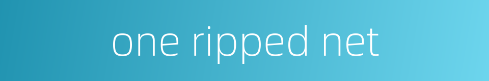 one ripped net的同义词