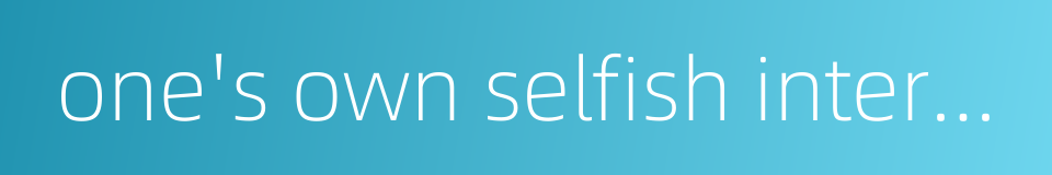 one's own selfish interests的同义词