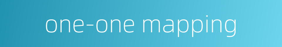 one-one mapping的同义词