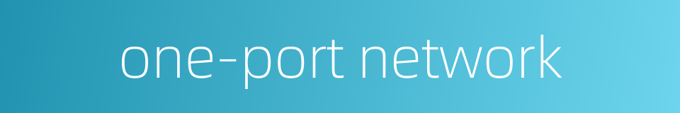 one-port network的同义词