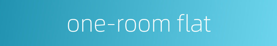 one-room flat的同义词