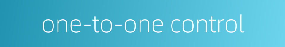 one-to-one control的同义词