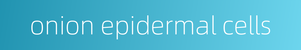onion epidermal cells的同义词