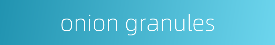 onion granules的同义词
