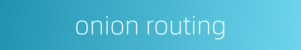 onion routing的同义词