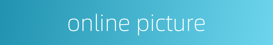 online picture的同义词