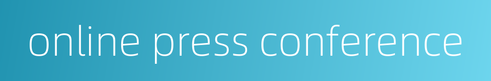 online press conference的同义词