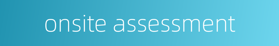 onsite assessment的同义词