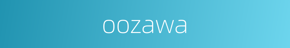 oozawa的同义词