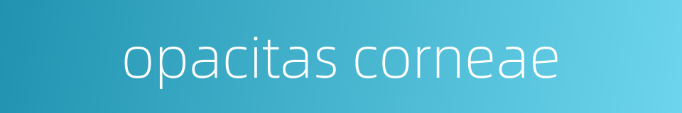 opacitas corneae的同义词