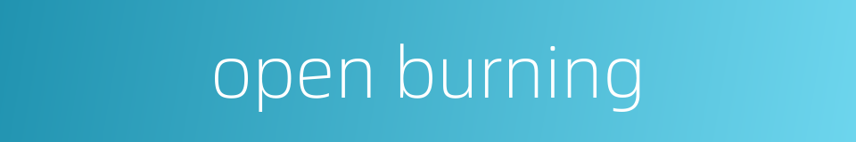 open burning的同义词