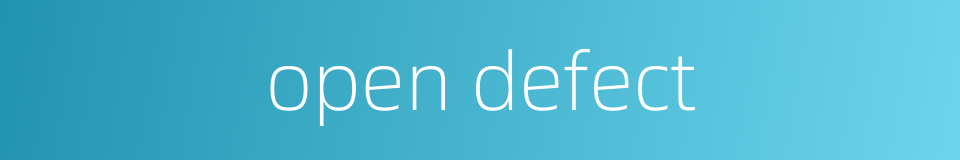 open defect的同义词