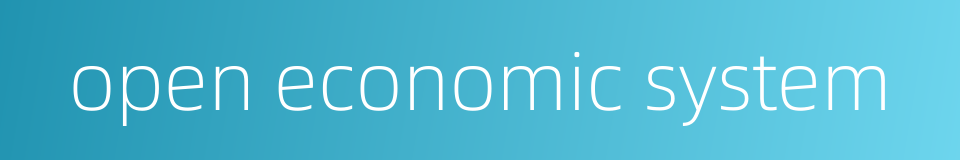 open economic system的同义词
