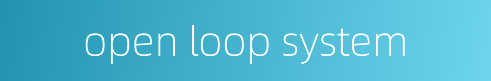 open loop system的同义词