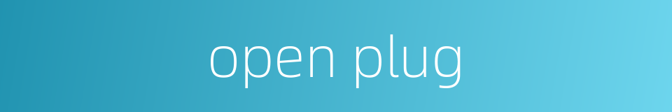 open plug的同义词