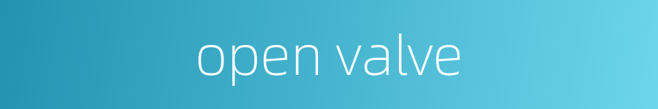 open valve的同义词