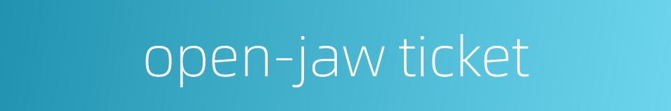 open-jaw ticket的同义词