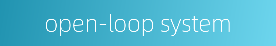open-loop system的同义词