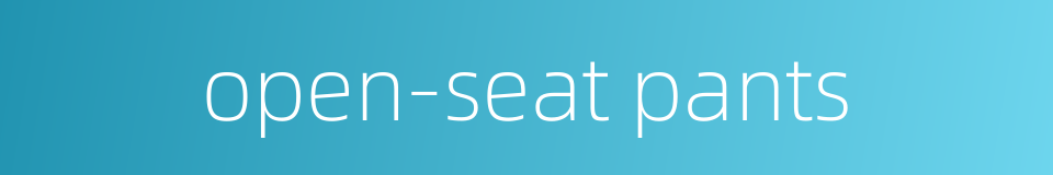 open-seat pants的同义词