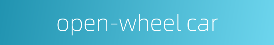 open-wheel car的同义词