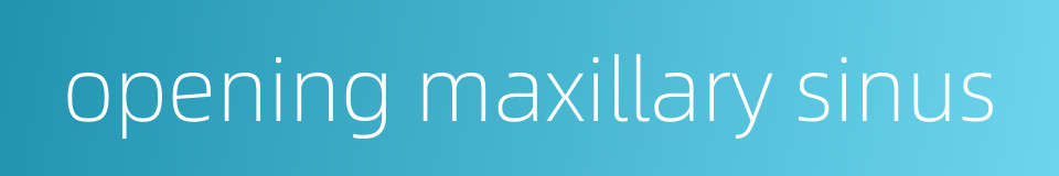 opening maxillary sinus的同义词