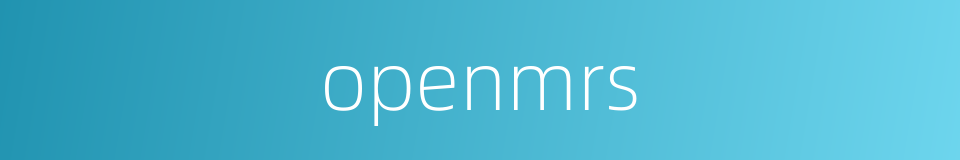 openmrs的同义词