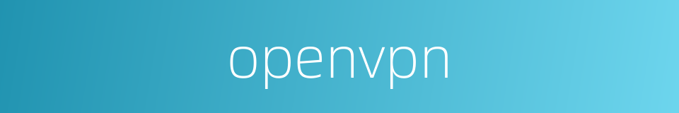 openvpn的意思