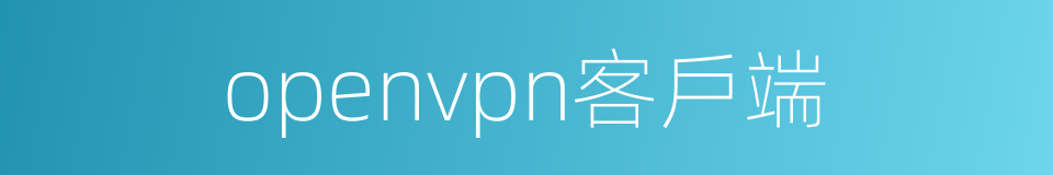 openvpn客戶端的同義詞