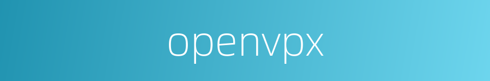 openvpx的同义词