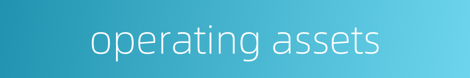 operating assets的同义词