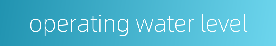 operating water level的同义词