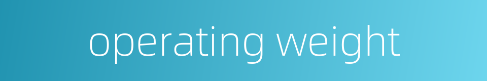 operating weight的同义词