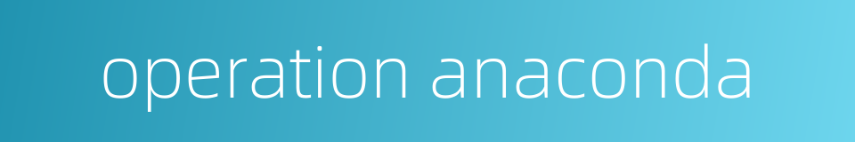 operation anaconda的同义词