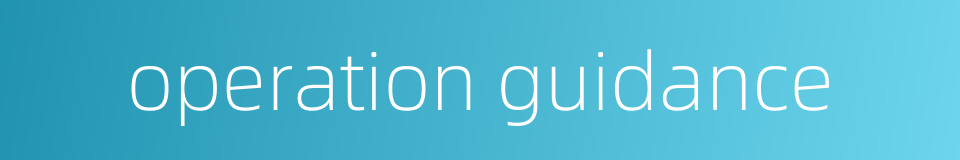 operation guidance的同义词