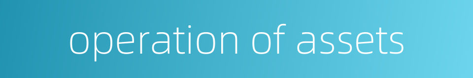 operation of assets的同义词